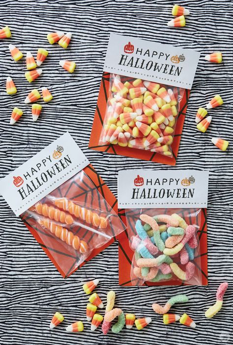 Download, print, and put together these free printable Halloween treat bags to make ordinary candy worthy of your monster bash! Treat Bag Ideas, Halloween Labels Printable, Halloween School Treats, Dulces Halloween, Free Printable Halloween, Halloween Decor Diy, Halloween Goodie Bags, Halloween Treats For Kids, Classroom Treats