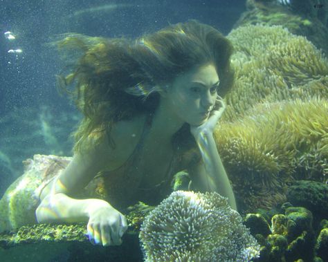 Cleo Sertori | Mermaid Wiki | Fandom H2o Aesthetic, No Ordinary Girl, Sea Siren, H2o Mermaids, Mako Mermaids, Water Aesthetic, Real Mermaids, Mermaid Aesthetic, Ordinary Girls