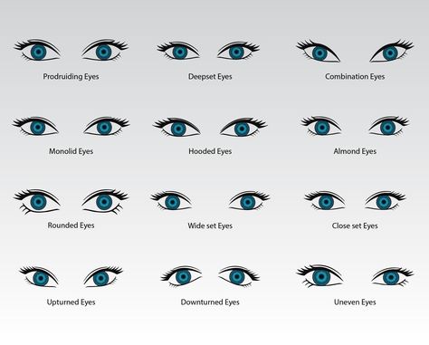 Types Of Eyes Shapes Men, Eyes Shapes Chart, Eye Type Shape, Eye Type Chart, Different Types Of Eyes Shape, Different Eyes Shapes, Eye Lid Types, Eye Shapes Drawing Reference, Eye Types Drawings