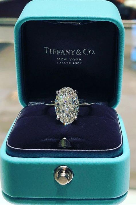 12 Most Loved Tiffany Engagement Rings-  #Hawaiiweddingplanner  #VidaChic #VidaChicEvents #DestinationWeddingPlanner #weddinginspo #weddingideas #wedding #ring #weddingring #weddingringinspo Harry Winston Engagement Ring, Tiffany Wedding Rings, Tiffany Engagement, Tiffany Engagement Ring, Ring Trends, Dream Engagement, Dream Engagement Rings, Ring Ideas, Rose Gold Engagement