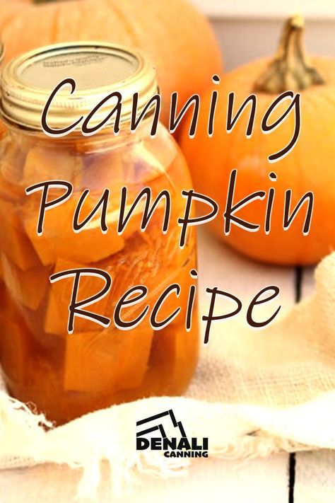 Canning is such a fun time, but if you can a lot (like us) you’re probably looking for new ideas every day! This week, why not try canning Pumpkin?? • • All credits go to the fabulous Jill of @ThePrairieHome • • #CanningPumpkin #canning #DenaliCanning #recipe #Denali #canningrecipes #WhatCanICanWednesday Canning Pumpkin, Mason Jar Pies, The Prairie Homestead, Prairie Homestead, Can Pumpkin, Canning Recipe, Canning Food Preservation, Pumpkin Recipe, Pressure Canner