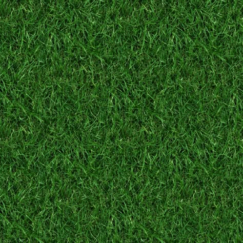 (GRASS 4) seamless turf lawn green ground field texture Green Grass Texture Seamless, Grass Texture Seamless, Green Grass Texture, Overseeding Lawn, Artificial Grass For Dogs, Ground Texture, Grass Texture, Road Texture, Lawn Turf