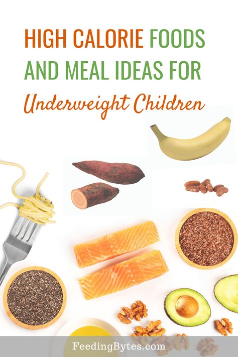 How to feed an underweight child; here are high calorie food options and meal ideas. Feeding Bytes, UK Dietitian #childnutrition #pickyeating #pickyeater #underweightchild #kidsnutrition High Calorie Foods, Meal Nutrition, High Calorie Snacks, Child Nutrition, High Calorie, Meal Options, Full Fat Yogurt, Kids Meal, Picky Eating