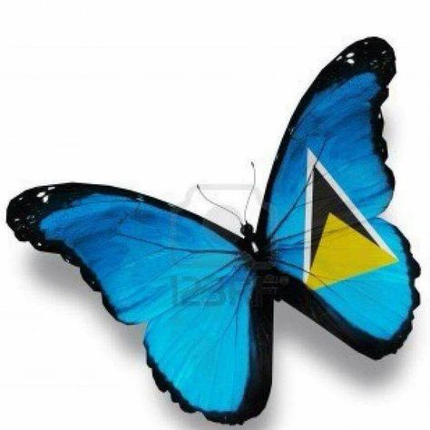 St. Lucia St Lucia Flag, Caribbean Flags, Elbow Tattoos, Flag Tattoo, Saint Lucia, Fantasy Photography, Cute Doodle Art, The Flag, St Lucia