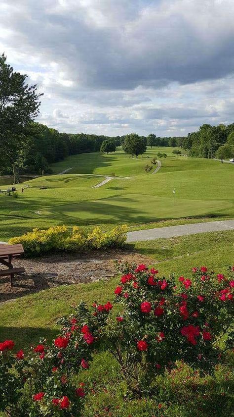 Working At A Golf Course Aesthetic, Aesthetic Golf Course, Golf Field Aesthetic, House On Golf Course, Lapangan Golf Aesthetic, Bev Cart, Golf Course Aesthetic, Sports Aesthetics, Golf Field