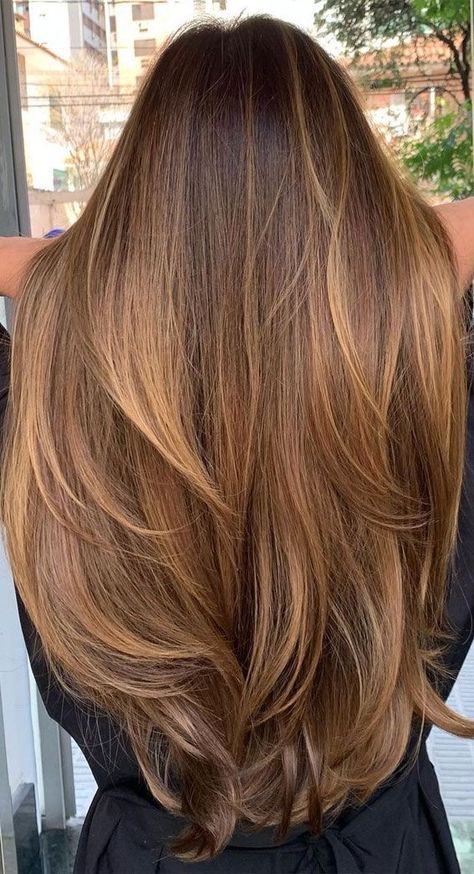 Brown To Caramel Hair, Color Brown Hair Highlights, Golden Highlights On Dark Blonde Hair, Brown Caramel Hair Colors, Auburn Hair Color Highlights, Dyed Brunette Hair Colour, Light Brown Brunette Balayage, Copper Orange Highlights On Brown Hair, Balayage Hair Ginger Brown