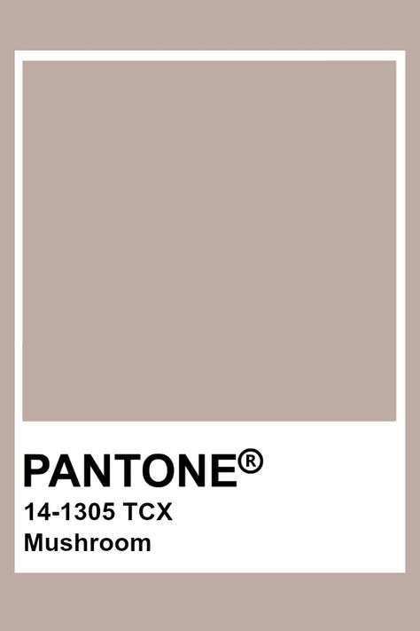 Pantone Mushroom Brown Pantone, Pantone Tcx, Pantone Color Chart, Pantone Swatches, Taupe Paint, Mocha Mousse, Pantone Palette, Pantone Colour Palettes, Taupe Colour