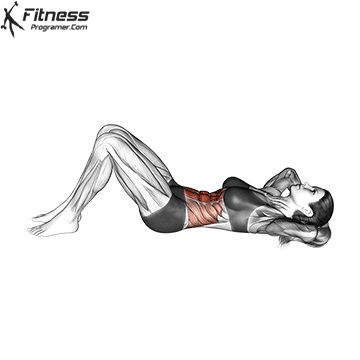 Fitness Program Builder Workout Circuit At Home, Best Core Exercises, Dumbbell Back Workout, Gym Workout Guide, Best Core Workouts, Crunches Workout, Simple Exercise, Abs Exercises, Abs Workout Gym