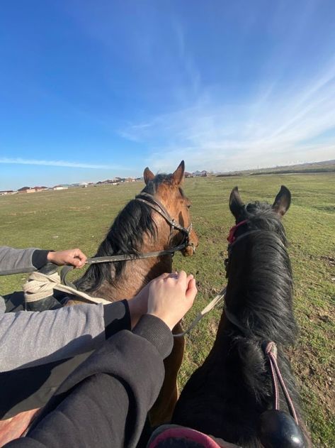 Horse Couple, Horsey Life, Horse Riding Aesthetic, Muslim Couple Photography, Horse Aesthetic, Lovely Flowers Wallpaper, Cute Muslim Couples, Horse Life, Horse Love