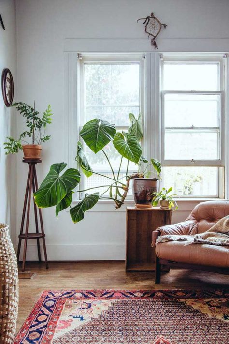 Lots Of Plants, Deco Boheme, A Rug, A Living Room, Boho Home, Large Homes, Making Room, My New Room, Living Room Inspiration