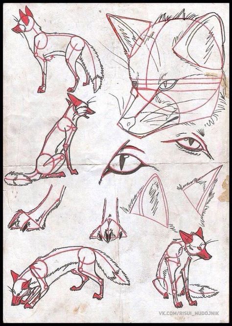 Fox Drawing Tutorial, Fox Tattoo Sketch, Fox Drawing Sketches, Fox Anatomy, Coyote Drawing, Fox Sketch, Dog Design Art, Fox Artwork, Fox Drawing