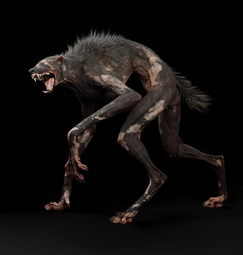 ArtStation - BLIND WEREWOLF Werewolf Body Horror, Werewolf Superhero, Monster Aesthetic Creature, Werewolf Pose Reference, Werewolf Painting, Modern Werewolf, Werewolf Concept Art, Werewolf Reference, Werewolf Man