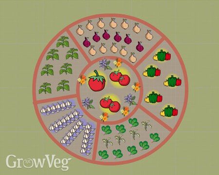 Pizza Garden, Where's The Beef, Garden Pizza, Garden Video, Delicious Pizza Recipes, Pizza Shapes, Grow Vegetables, Old Farmers Almanac, Garden Plan