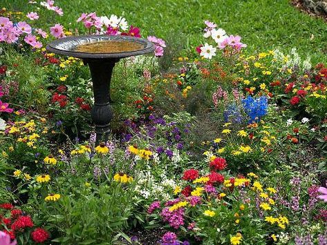 How to Build a Butterfly Garden- Butterfly gardens are beautiful, fun to build, and a great way to help out your local butterfly populations! If you want to build a butterfly garden in your yard, check out this guide! Getting started is a lot easier than you might think! | #butterflyGarden #gardening #garden #butterflies #butterfly #gardeningTips #howtobuildabirdhouse Butterfly Garden Plants, Butterfly Gardens, Funny Vine, Butterfly Garden Design, Hummingbird Garden, Pollinator Garden, Garden Care, Garden Signs, Easy Garden