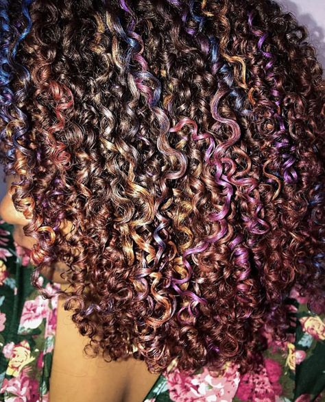 Curly Hair Unnatural Color, Curly Hair With Coloured Highlights, Multicolored Curly Hair, Curly Hair Rainbow Highlights, Glitter Curly Hair, Red Highlights Natural Hair, Hair Dyes For Curly Hair, Best Colors To Dye Your Hair, 4a Hair With Highlights