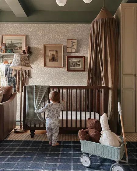 Nursery Dark Academia, Nursery In Guest Bedroom, Victorian House Nursery, Old House Nursery, Vintage Aesthetic Nursery, Pretty In The Pines Nursery, Cozy Vintage Nursery, Prairie Themed Nursery, Muted Color Nursery