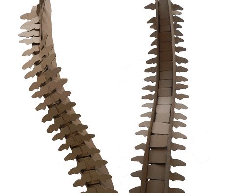 This is a human spine made by me using only cardboard material and had thought the spine would relate strongly to the human form, it is however the most important bone in our body. Sculptural Fashion Wearable Art, Spine Sculpture, Modular Sculpture, Junk Kouture, Human Spine, Wearable Art Fashion, Higher Art, Neck Bones, Sculptural Fashion