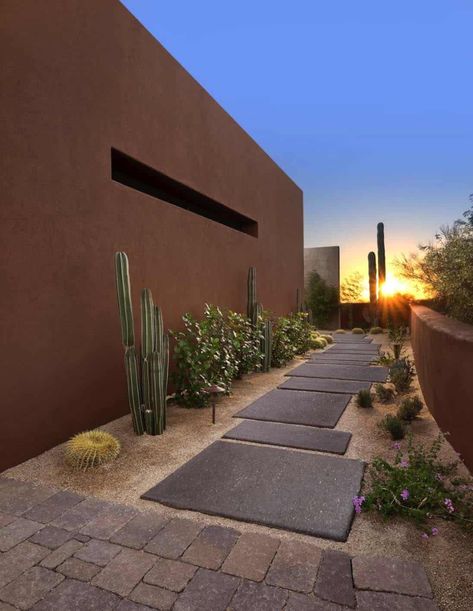 Drought Resistant Landscaping, Desert Backyard, Budget Landscaping, Landscaping Design Ideas, Small Backyard Gardens, Modern Landscape Design, Backyard Entertaining, Desert Garden, Ideas Backyard