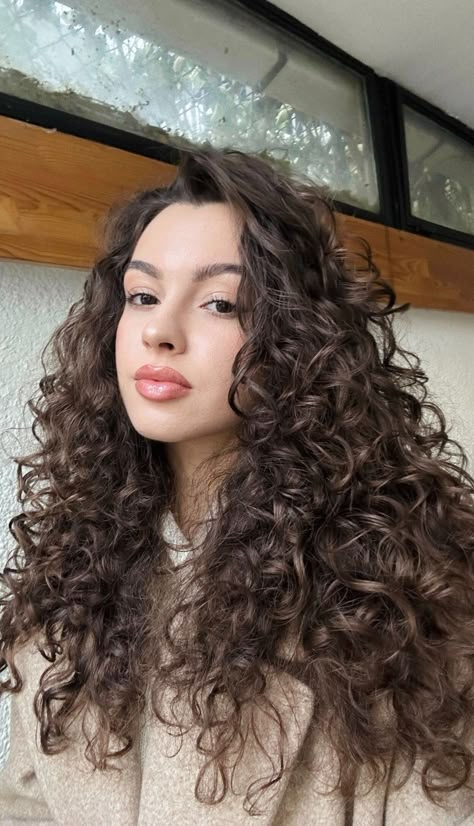 3a Hair, Brown Curly Hair, Curly Hair Tutorial, Colored Curly Hair, Curly Hair Inspiration, Hair Inspo Color, Curly Hair Cuts, Hair Photo, Dream Hair