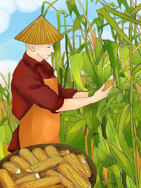 illustration  a beautiful man harvesting corn in a corn field Harvesting Corn, Field Corn, Corn Field, Man Illustration, Illustration Background, Hand Draw, Beautiful Man, Handsome Man, Magazine Design