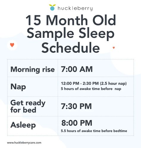 15 month old sleep schedule: bedtime and nap schedule | Huckleberry Sleep Schedule For 15 Month Old, 15 Month Sleep Schedule, 15 Month Old Schedule, Bedtime Schedule, Baby Infographic, 19 Month Old, Daily Rhythm, Moms Life, Toddler Routine