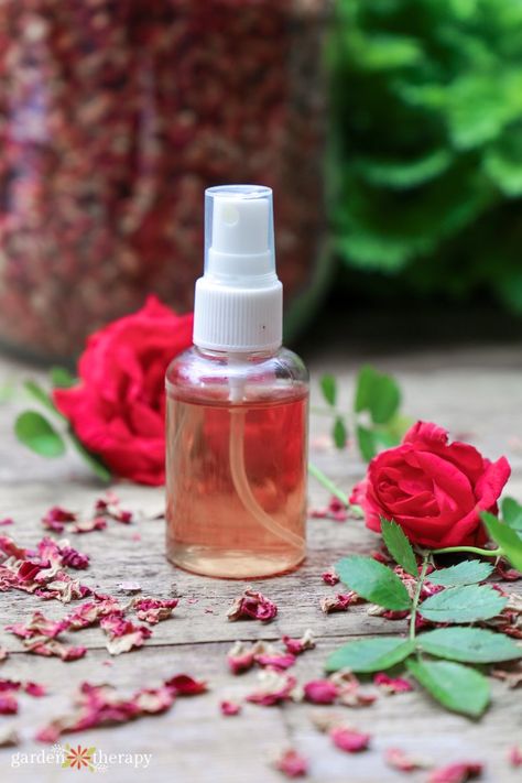 How to Make Rose Water in Minutes with Just 2 Simple Ingredients Benefits Of Rose Water, Making Rose Water, Make Rose Water, Homemade Rose Water, Natural Face Toner, Rose Water Diy, Bath Soak Recipe, Diy Body Scrub Recipes, Sweet Sauces