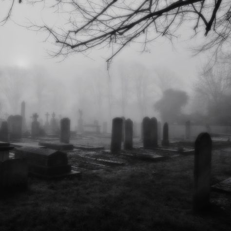 Graveyard Aesthetic Dark, Goth Places Aesthetic, Misty Graveyard Aesthetic, Abandoned Graveyard Aesthetic, Dark Graveyard Aesthetic, Grave Yard Aesthetic, Pretty Graveyard, Foggy Cemetery, Cemetery Aesthetic