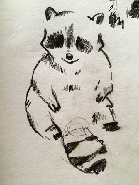 Drawing Of A Raccoon, Cute Charcoal Drawings, Drawing Of Raccoon, Sketches On Homework, Cute Animal Sketches Doodles, Random Doodle Ideas, Small Animal Sketches, How To Draw With Charcoal Pencils, How To Use Charcoal Pencils