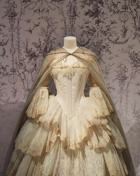 Ball Gowns Victorian, Christian Dior Gowns, Christian Dior Dress, Dior Dresses, Dior Gown, Vintage Ball Gowns, 18th Century Dress, 18th Century Costume, Dior Dress