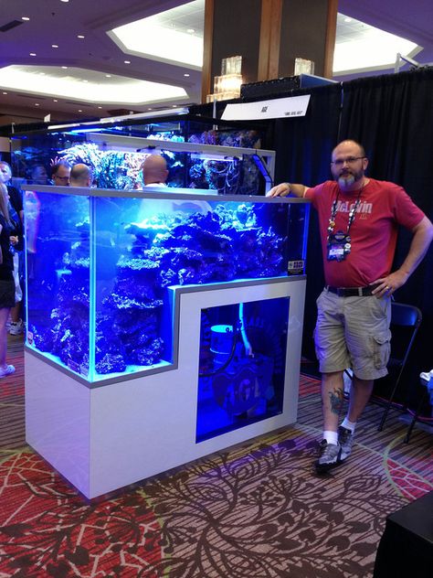 200 Gallon Drop Down Reef - Reef Central Online Community Saltwater Tank Setup, 100 Gallon Saltwater Aquarium, Diy Aquarium Stand, 40 Gallon Reef Tank, Saltwater Reef Tank, Small Reef Tank, Macroalgae Reef Tank, Marine Fish Tanks, Fish Aquarium Decorations