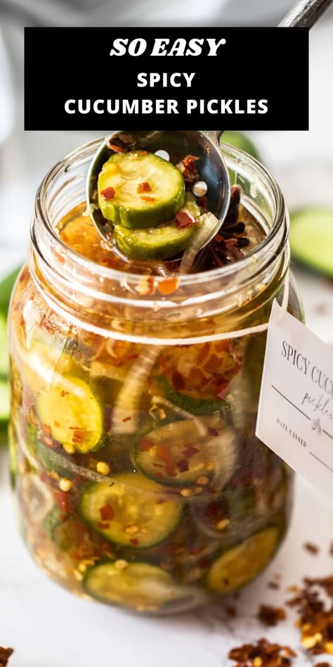 Canning Pickling Cucumbers, Best Pickled Cucumber Recipe, Small Cucumber Pickles, Cucumber Pickle Recipes Sweet And Spicy, Pickle Cucumber Recipes Vinegar Easy, Pickling Cucumbers Spicy, Spicy Hot Pickles Recipe, Homemade Cucumber Pickles, Cold Pickled Cucumber