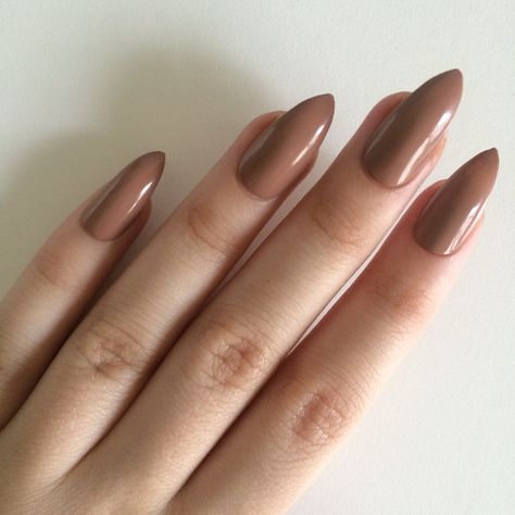 Gloss brown stiletto nails, hand painted acrylic nails, fake nails,... ($14) ❤ liked on Polyvore featuring beauty products, nail care and nail treatments Nude Stiletto Nails, Painted Acrylic Nails, Red Stiletto Nails, Nails Hand Painted, Stiletto Nails Designs, Nails Fake, Brown Nails, Stick On Nails, Pretty Acrylic Nails