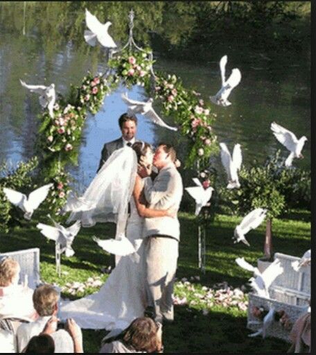 Wedding Haul, Confetti Ideas, Outdoor Wedding Pictures, Christian Weddings, Dove Release, Christian Wedding Cards, Wedding Locations Outdoor, Dove Painting, Summertime Wedding