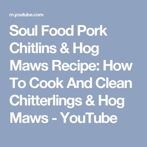 Soul Food Pork Chitlins & Hog Maws Recipe: How To Cook And Clean Chitterlings & Hog Maws - YouTube Chittlings Recipe, Hog Maws Recipe, Chitlins Recipe Soul Food, Hog Maw Recipe, Chitterlings Recipe Soul Food, Chitlins Recipe, Hog Maws, Chitterlings Recipe, Beef Chuck Steaks