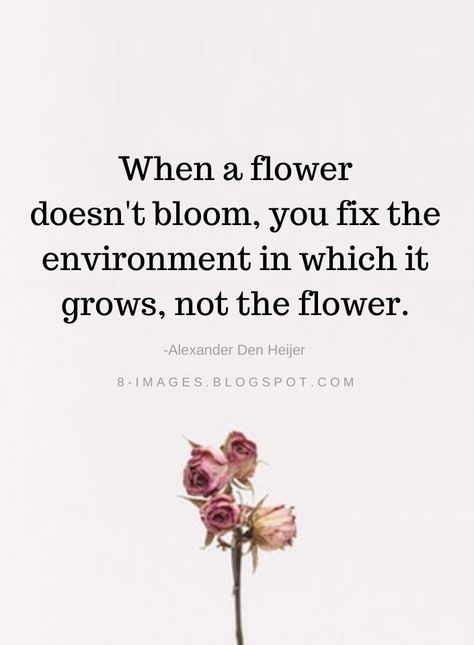 Alexander Den Heijer Quotes When a flower doesn't bloom, you fix the environment in which it grows, not the flower. -Alexander Den Heijer Not Growing Quotes, Growing Quotes Inspirational, Like A Flower Quotes, Like Flowers Quotes, Love Grows Quotes, Quotes About Flowers Beauty, Quotes About Blooming, Good Environment Quote, Alexander Den Heijer Quotes