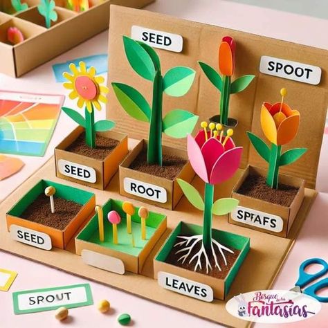 Science Plant Activities, Plant Project Ideas For School, Seed Germination Project, Plant Life Cycle Project, دورة حياة النبات, Plants Life Cycle Activities, Plant Germination, Science Exhibition, Plant Activities