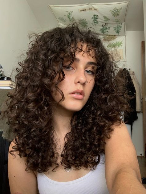 Curly Layers With Curtain Bangs, Medium 2c Haircut, 3b Curly Haircuts Shoulder Length, Face Framing Haircut Curly Hair, Cute Haircuts For Curly Hair Medium, Mid Length 3b Curly Hair, Perms For Shoulder Length Hair, Heart Shaped Curly Haircut, Curly Hair With Framing Pieces