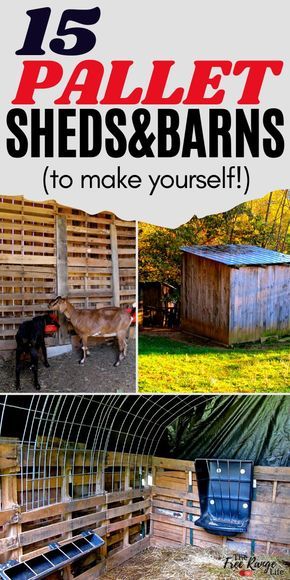 Desert Homesteading, Skid Projects, Goat Housing, Pallet Sheds, Pig Shelter, Farm Frenzy, Pallet Shed Plans, Homestead Animals, Goat Pen