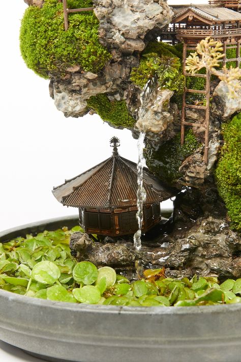 Cliff Bonsai tree, miniature landscape Bonsai Tree Zen Garden, Japanese Garden Terrarium, Mini Bonsai Garden, Japanese Miniature Garden, Japanese Terrarium, Bonsai Landscape, Japanese Miniature, Japanese Bonsai Tree, Tree Miniature