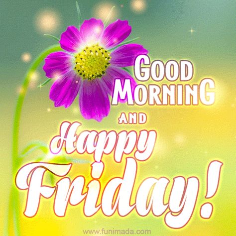 Happy Friday Gifs, Friday Good Morning Images, Gm Friday, Snoopy Good Morning, Happy Friday Gif, Friday Good Morning, Happy Friday Pictures, Friday Gif, Friday Greetings