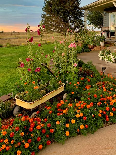 Flower Garden Small Backyard, Flower Garden At Home, Ranch House Garden, Outdoor Improvements Diy, Flowers Around Shed, Wild Flower Garden Landscaping, Outdoor Flower Garden Ideas, Wildflower Garden Front Yard, Acreage Landscaping Ideas Country Life