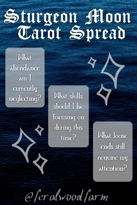 Further connect to the energies of August's Full Moon, the Sturgeon Moon, with this tarot spread! #tarotspread #fullmoonmagic #witchcraft Sturgeon Moon Tarot Spread, Full Moon August 2024, Sturgeon Full Moon, Moon 2024, Moon Aquarius, Pagan Life, Full Moon Tarot, Full Moon Spells, Sturgeon Moon