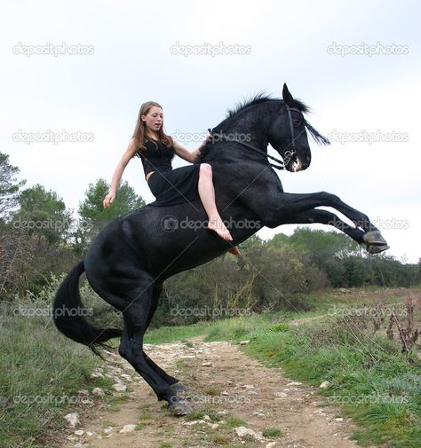 Friesian Horse, Hippies, Woman Riding Horse, Bareback Riding, Horse Rearing, Rearing Horse, Black Stallion, Equestrian Boots, Glamour Shots