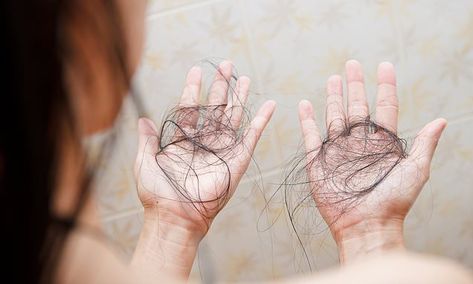 Hair Falling, Hair Clinic, Hair Control, Alyssa Milano, Anime Hair, Hair Transplant, Hair Strand, Roots Hair, Emu