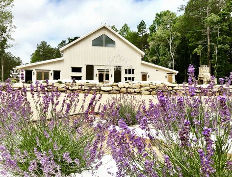 LAVENDER OAKS FARM Chapel Hill, NC – LAVENDER FARM & HISTORIC BARNS Wedding Lavender, Timber Frame Barn, Hand Hewn Beams, Cafe Delites, Triangle Area, Lavender Benefits, Provence Lavender, Retirement Travel, Lavender Lemonade