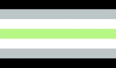 Agender Flag, Nonbinary Flag, Gender Pronouns, Brand Palette, Any Pronouns, Flag Pride, Gender Flags, Pansexual Pride, Lgbt Flag