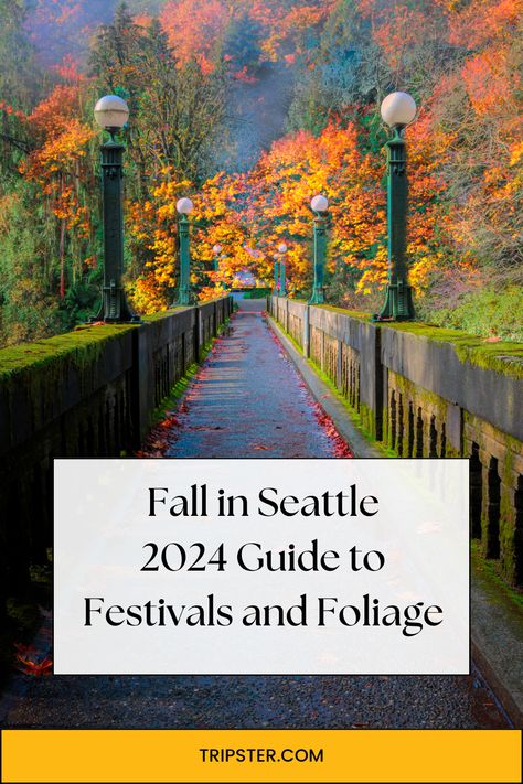 The image shows a path lined with trees covered in vibrant autumn foliage. There are tall, green lamp posts on either side of the path, and the ground is scattered with fallen leaves. The text on the image reads, "Fall in Seattle 2024 Guide to Festivals and Foliage" with the URL "Tripster.com" at the bottom. Seattle Things To Do In Fall, Seattle In The Fall, Seattle Fall Aesthetic, Seattle In November, Seattle In October, Fall Seattle, Fall In Seattle, Seattle Nightlife, Seattle Fall