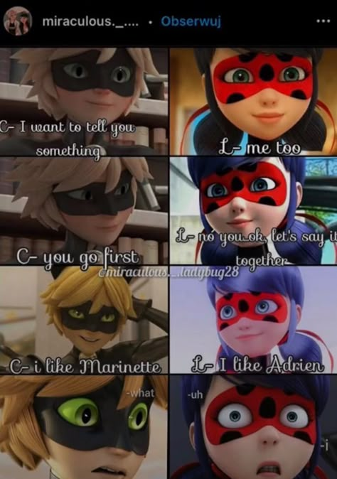 Miraculous Ladybug Jokes, Miraculous Memes Funny, Miraculous Meme, Miraculous Ladybug Kiss, Miraculous Memes, Ladybug Funny, Cartoon Disney, Miraculous Ladybug Oc, Miraculous Wallpaper