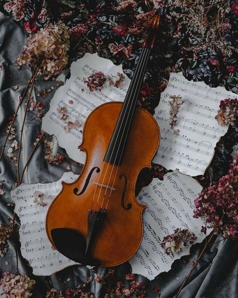 Aesthetic Violin, Wallpaper Violin, Music Lover Quote, Violin Photography, Violin Art, Gothic Themes, Acoustic Guitar Music, Cello Music, Music Aesthetic