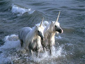 I love unicorns Human Unicorn, Robert Vavra, Unicorn And Fairies, Pegasus Unicorn, Chasing Unicorns, Real Unicorn, Unicorn Pictures, Last Unicorn, Fantasy Horses